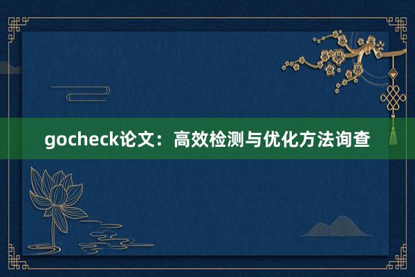 gocheck论文:高效检测与优化方法询查