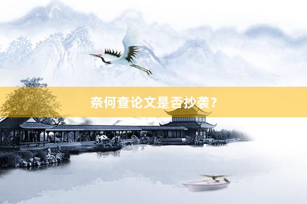 奈何查论文是否抄袭？