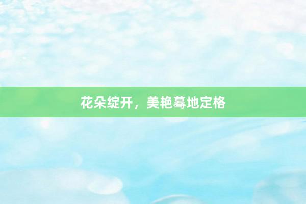 花朵绽开，美艳蓦地定格