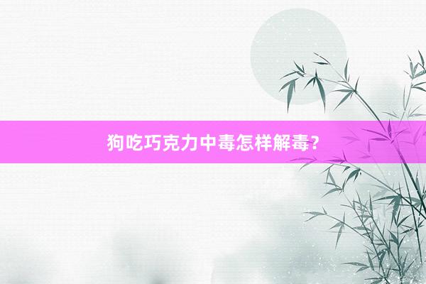 狗吃巧克力中毒怎样解毒？