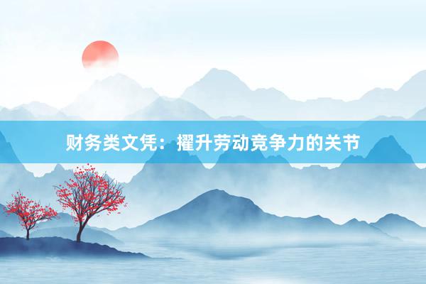 财务类文凭：擢升劳动竞争力的关节