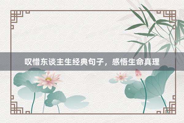 叹惜东谈主生经典句子，感悟生命真理